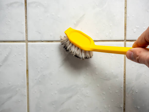 Best Mold Removal Company Near Me  in Mill Creek East, WA