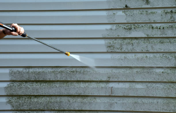 Best Mold Cleaning Services  in Mill Creek East, WA