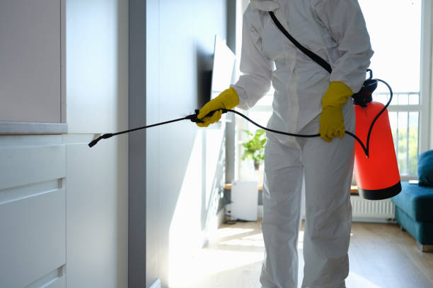 Best Home Mold Removal  in Mill Creek East, WA