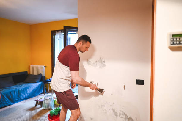 Best Affordable Mold Removal  in Mill Creek East, WA